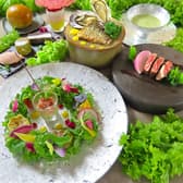 健康DINING 百花 モリンガ 3