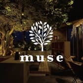 シーシャカフェ&バー muse ミューズ 横浜西口店 3