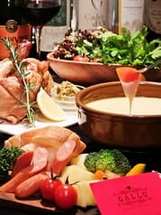 GALLO 新潟 ガロ 2