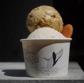 ヌイドアイスクリーム 3