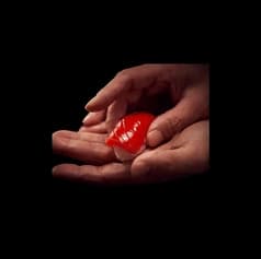 鮨 銀時 小田急相模原店 2