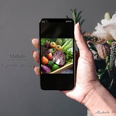 マハロ 天神大名 農家レストラン 2