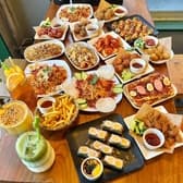 CACTUS PLANET カクタス プラネット 3