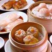 香港飲茶 点心厨房 大岡山店 3