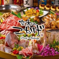 創作居酒屋 空木のこかげ 2