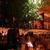 Logensitz 難波 ローゲンジッツ 3