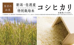 天ぷら天清 ららぽーと沼津店 2