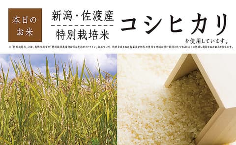 天ぷら天清 ららぽーと沼津店