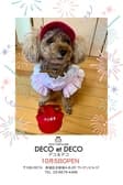 DECOetDECO デコ&デコ 3
