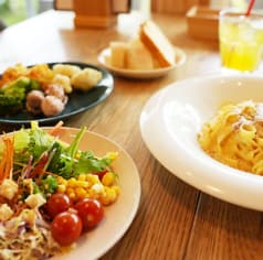 Healing Forest cafe 2