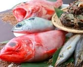 海鮮酒菜げんげJR八尾店 3