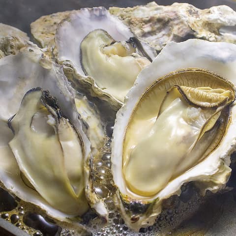 魚介ビストロsasaya BYO 大崎