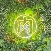 炭火ジンギスカン酒場 もんごる 3