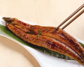 鰻 ななつぼし 3