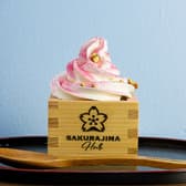 SAKURAJIMA HUB サクラジマ ハブ 3