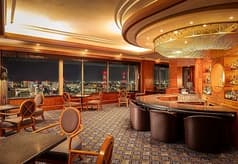 スカイバー アストラル 2