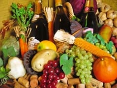 トロアヴァーグ Trois Vague 2