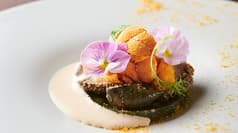 TRATTORIA CREATTA トラットリアクレアッタ 2