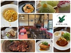 カクタスハウス 2