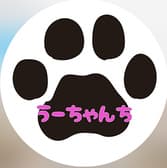 小料理 うーちゃんち 3