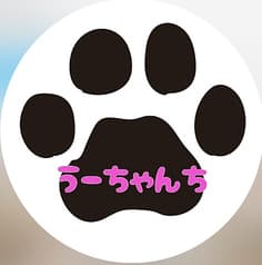 小料理 うーちゃんち 2