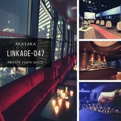 Linkage-047 リンケージ ゼロシ―セブン 2