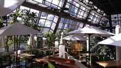 萠茶 KIZASHI きざし  2