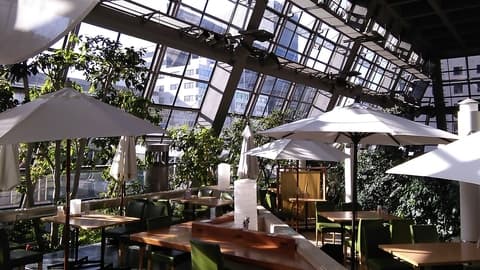 萠茶 KIZASHI きざし