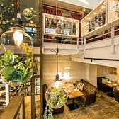 Salon de Patina サロン ド パティーナ 3