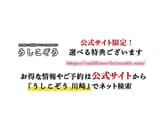 川崎 焼肉 うしこぞう 3
