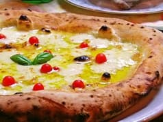 バードランド 坂井 2