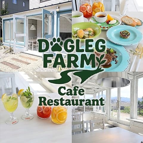 DOG LEG FARM ドッグレッグファーム