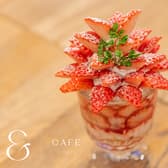 アンドカフェ &CAFE 3