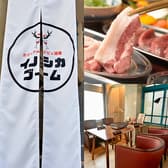 カジュアルジビエ酒場イノシカブーム 3