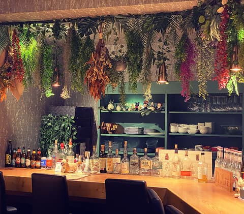 隠れ家森の小さなレストラン PECOPECO ペコペコ