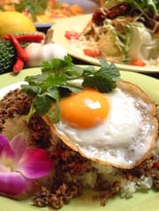 スパイシードッグ SPICY DOG 2