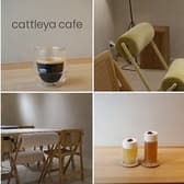 Rand表参道 cattleya cafe 3