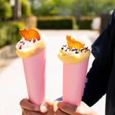 MAG CAT CAFE 西宮 3