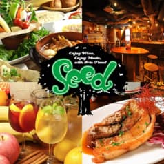 Seed シード 2