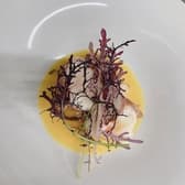 Fonte de Luce フォンテディルーチェ 3