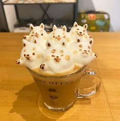 HATCOFFEE 2
