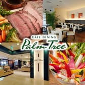 パームツリー 本厚木 3