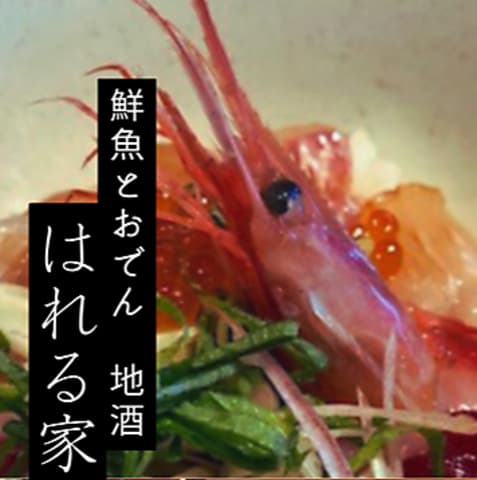 呑み処 はれる家