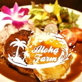 Hawaiian Cafe Aloha Farm アロハファーム 3