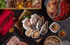 薬膳火鍋OSHIDORI 2