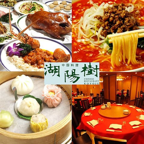 湖陽樹 こようじゅ 本町店