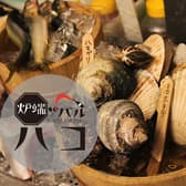 炉端バル ハコ 3