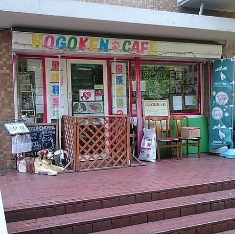 保護犬 保護猫カフェ 天神橋店