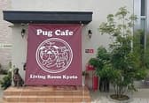 京都パグカフェ Living Room 3