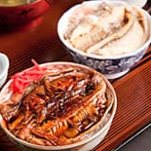 寿司 活魚料理 いそね 3